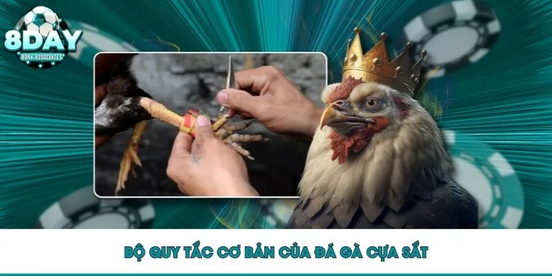 Bộ quy tắc cơ bản của đá gà cựa sắt