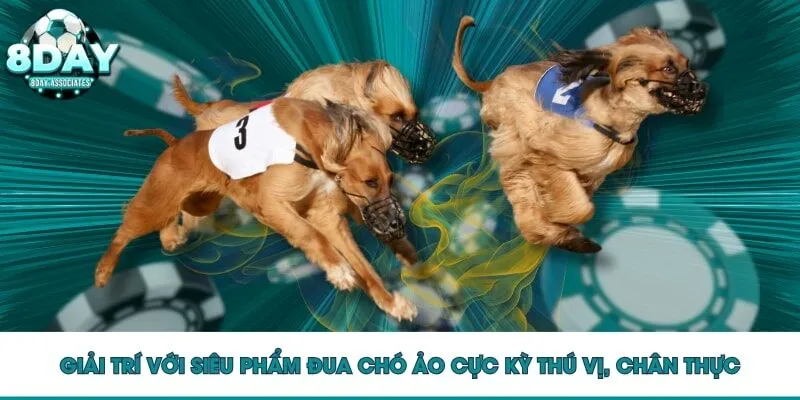 Giải trí với siêu phẩm đua chó ảo cực kỳ thú vị, chân thực