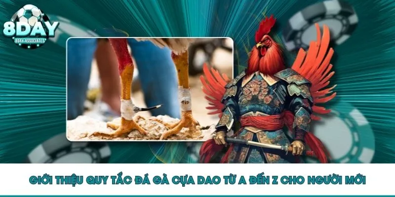 Giới thiệu quy tắc đá gà cựa dao từ A đến Z cho người mới