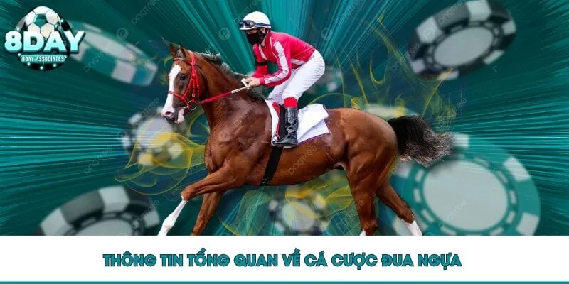 Thông tin tổng quan về cá cược đua ngựa 
